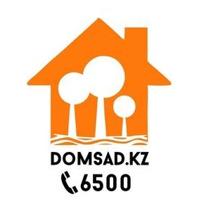 Domsad Kazakhstan Logo