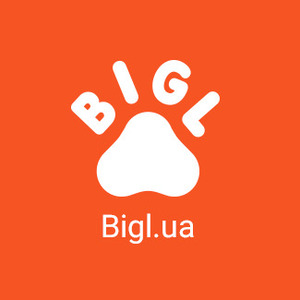 Bigl Ukraine Logo