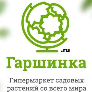 Garshinka Many GEOs Logo
