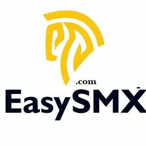 EasySMX Many GEOs Logo